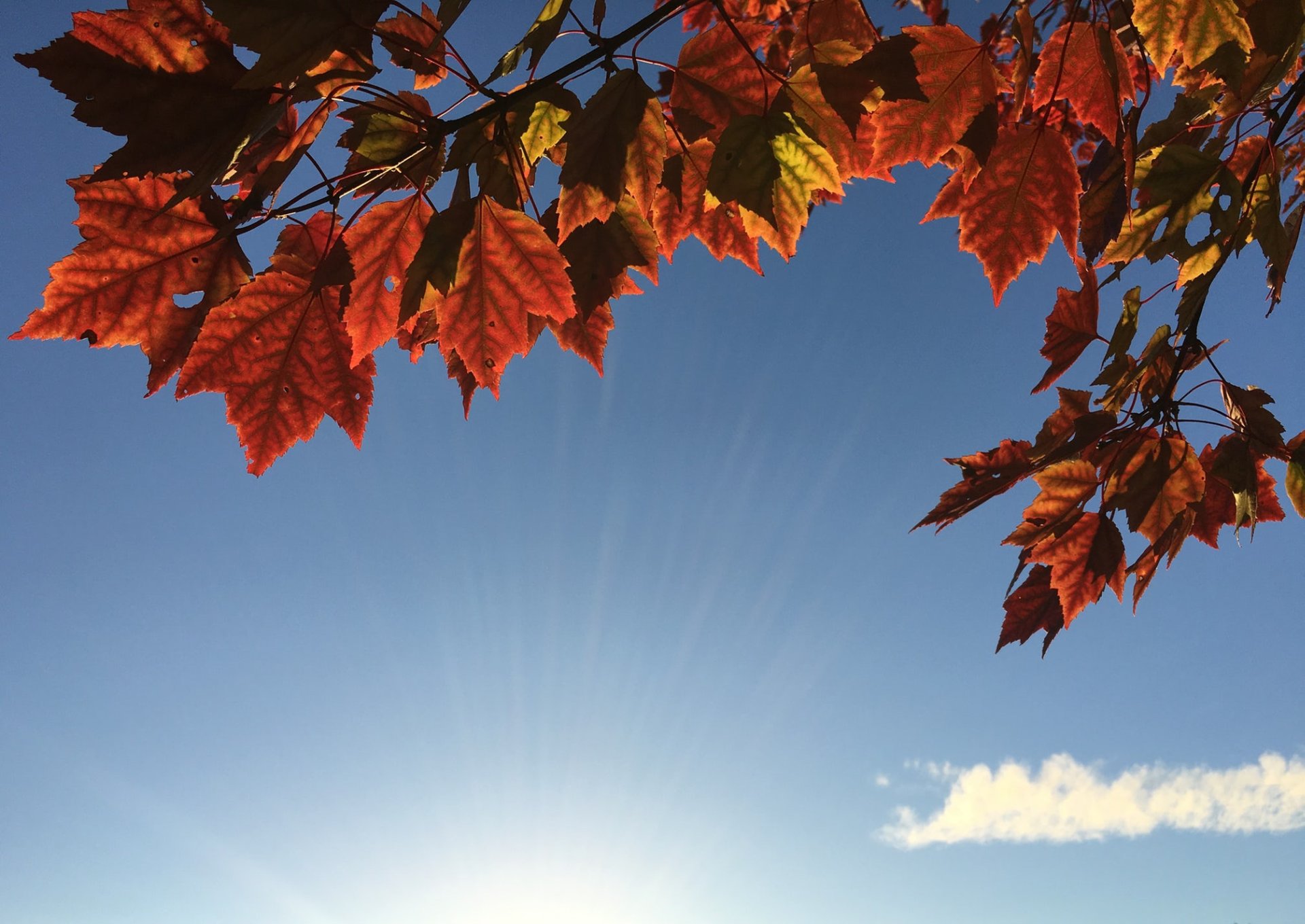 blog_08