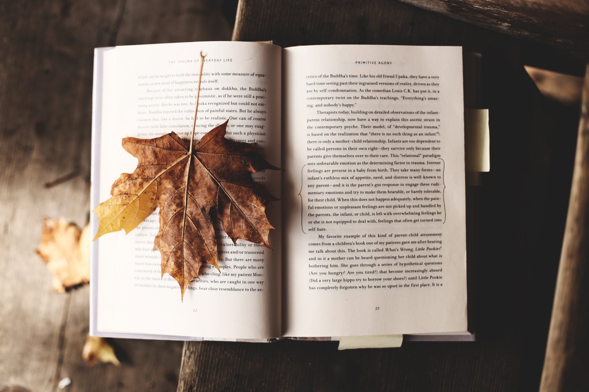 book_and_leaf